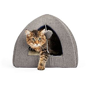 PET SUPPLIES